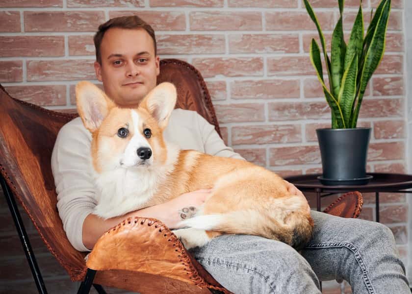 why-do-dogs-lean-on-you