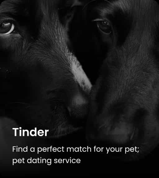 Pet Tinder
