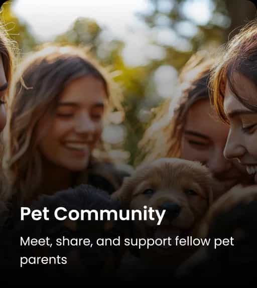 Pet Community